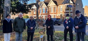 Group of tree planters in castle ward