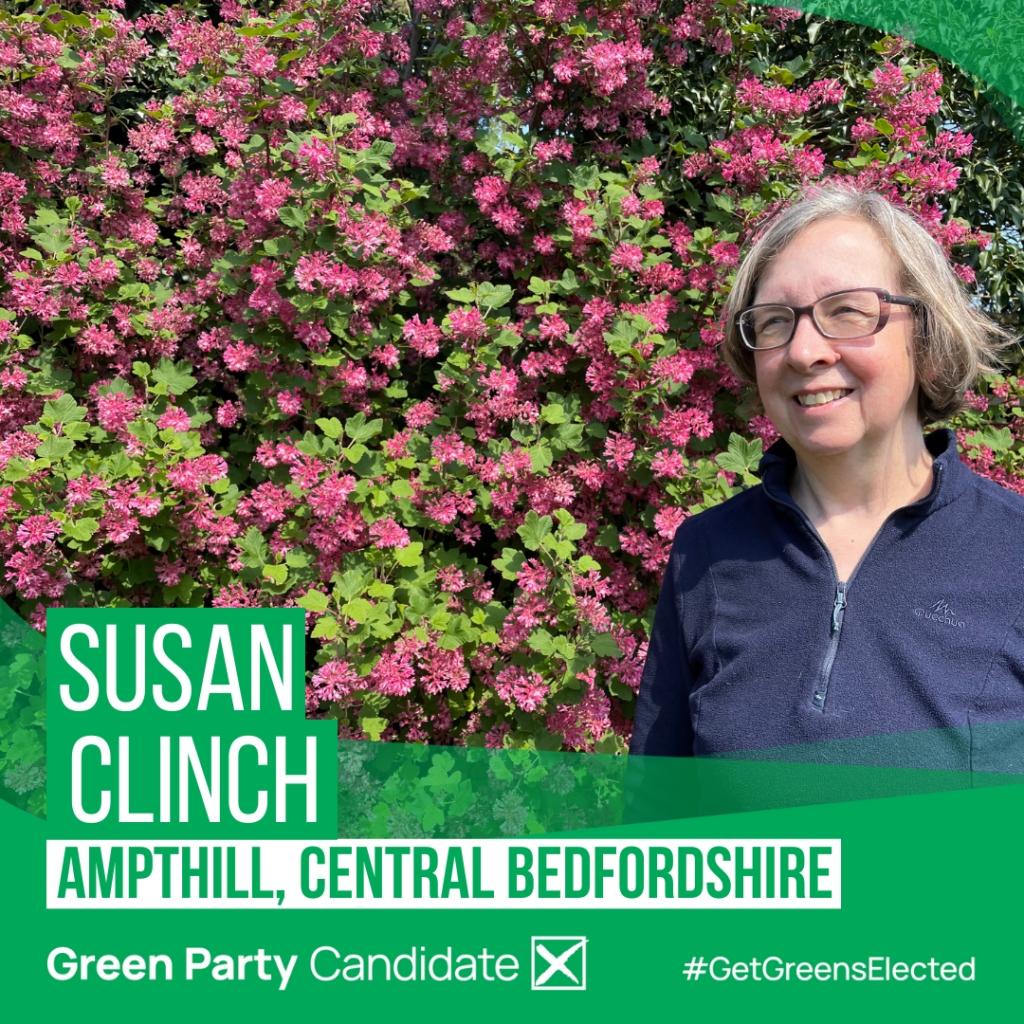 Image of Susan Clinch with Green Party Branding attached